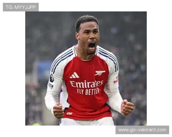 尤文图斯与AC米兰竞逐莱切20岁中卫加布里埃尔，冬窗争夺战升温